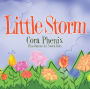 Little Storm