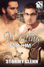 Waiting for Him [Hot Mess: Friends & Family 1] (The Stormy Glenn ManLove Collection)