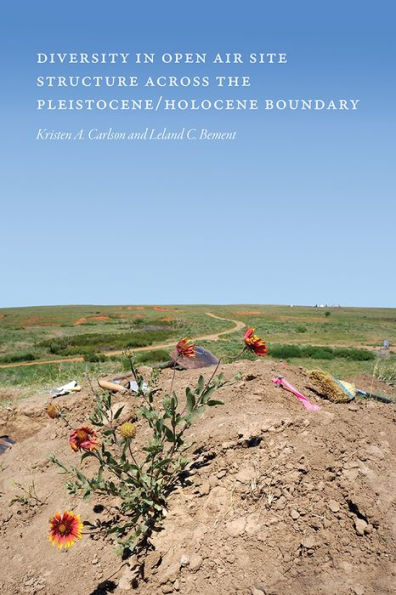 Diversity Open-Air Site Structure across the Pleistocene/Holocene Boundary