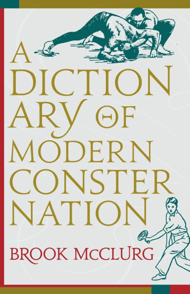 A Dictionary of Modern Consternation