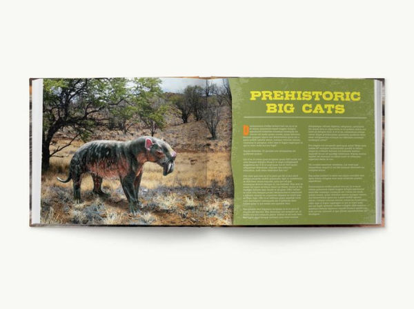 Discovering Tigers, Lions and Other Cats: The Ultimate Handbook to the Big Cats of the World