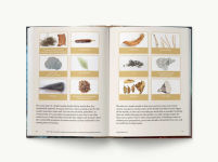 Alternative view 10 of FIRE: The Complete Guide for Home, Hearth, Camping and Wilderness Survival