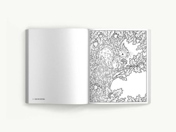 Color Me Critters: An Adorable Adult Coloring Book