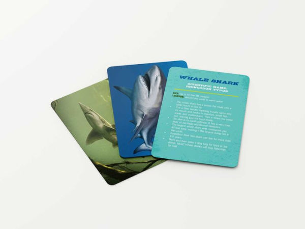 Shark Flashcards: Learn Your Shark Facts Like Never Before! (Sharks, Flash Cards, Marine Biology, Science and Nature, Sharks for Kids)