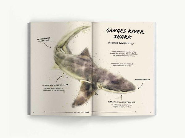 The Ultimate Shark Field Guide: The Ocean Explorer's Handbook (Sharks, Observations, Science, Nature, Field Guide, Marine Biology for Kids)