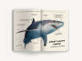 Alternative view 9 of The Ultimate Shark Field Guide: The Ocean Explorer's Handbook (Sharks, Observations, Science, Nature, Field Guide, Marine Biology for Kids)