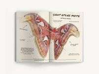 Alternative view 11 of The Ultimate Bug Field Guide: The Entomologist's Handbook