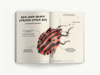 Alternative view 5 of The Ultimate Bug Field Guide: The Entomologist's Handbook