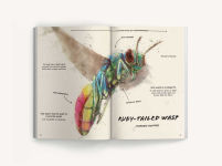Alternative view 8 of The Ultimate Bug Field Guide: The Entomologist's Handbook