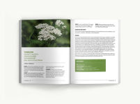 Alternative view 12 of Foraging: An Illustrated Guide to Edible Wild Plants