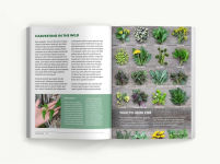 Alternative view 3 of Foraging: An Illustrated Guide to Edible Wild Plants