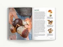 Alternative view 6 of Foraging: An Illustrated Guide to Edible Wild Plants