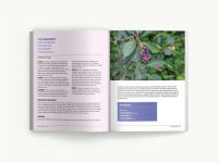 Alternative view 7 of Foraging: An Illustrated Guide to Edible Wild Plants