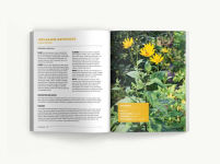 Alternative view 8 of Foraging: An Illustrated Guide to Edible Wild Plants