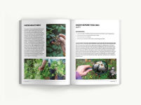 Alternative view 9 of Foraging: An Illustrated Guide to Edible Wild Plants