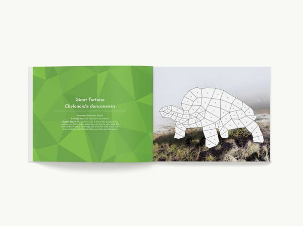Sticker Mosaics: Reptiles: Sticker Together 12 Unique Reptilian Designs