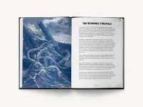 Alternative view 3 of Lost: A History of Disappearances