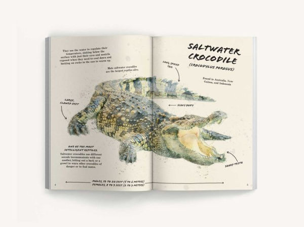 The Ultimate Reptile Field Guide: Herpetologist's Handbook