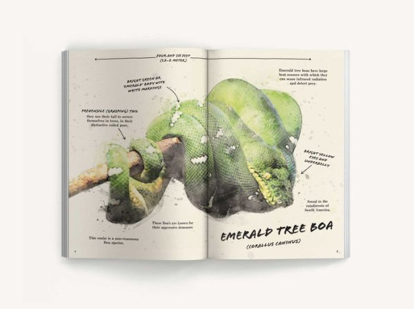 The Ultimate Reptile Field Guide: Herpetologist's Handbook