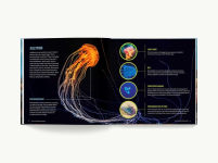 Alternative view 3 of Kid Oceanographer: Discover Amazing Species, Marine Ecosystems and Underwater Marvels
