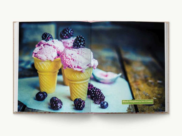 The Encyclopedia of Desserts: 400 Internationally Inspired Sweets and Confections