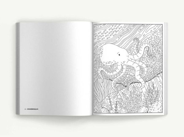 Color Me Under the Sea: An Adorable Adult Coloring Book