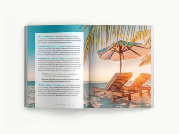 How to Beach: The Professional Beachgoer's Guidebook