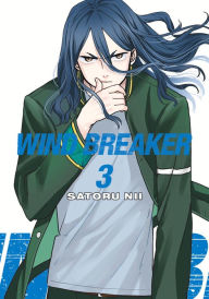 Free textbooks download WIND BREAKER 3 in English FB2 by Satoru Nii