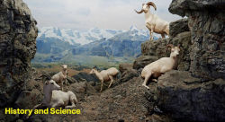 Alternative view 2 of Fabricating Wilderness: The Habitat Dioramas of the Natural History Museum of Los Angeles County