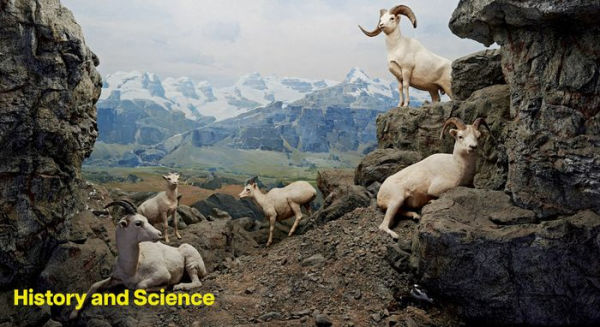 Fabricating Wilderness: The Habitat Dioramas of the Natural History Museum of Los Angeles County