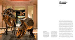 Alternative view 4 of Fabricating Wilderness: The Habitat Dioramas of the Natural History Museum of Los Angeles County