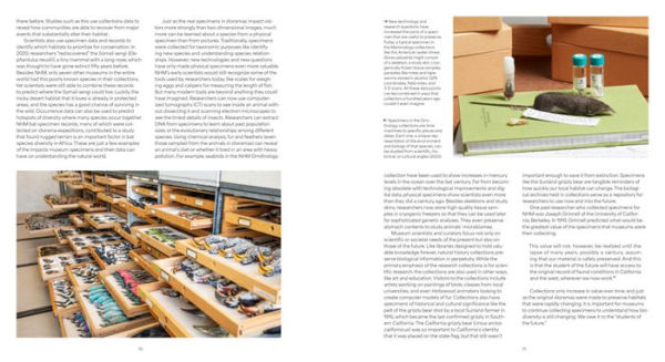 Fabricating Wilderness: The Habitat Dioramas of the Natural History Museum of Los Angeles County