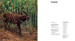 Alternative view 6 of Fabricating Wilderness: The Habitat Dioramas of the Natural History Museum of Los Angeles County