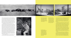 Alternative view 8 of Fabricating Wilderness: The Habitat Dioramas of the Natural History Museum of Los Angeles County