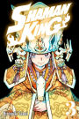 Shaman King, Volume 3