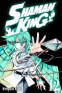 Shaman King, Volume 12