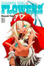 Shaman King: Flowers 3