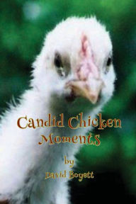 Title: Candid Chicken Moments, Author: David Boyett