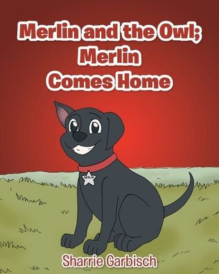 Merlin and the Owl: Comes Home