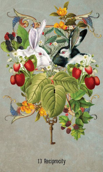 Unlocking The Secret Garden Oracle