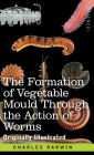 The Formation of Vegetable Mould Through the Action of Worms: with Observations on their Habits