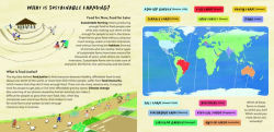 Alternative view 5 of Food for the Future: Sustainable Farms Around the World