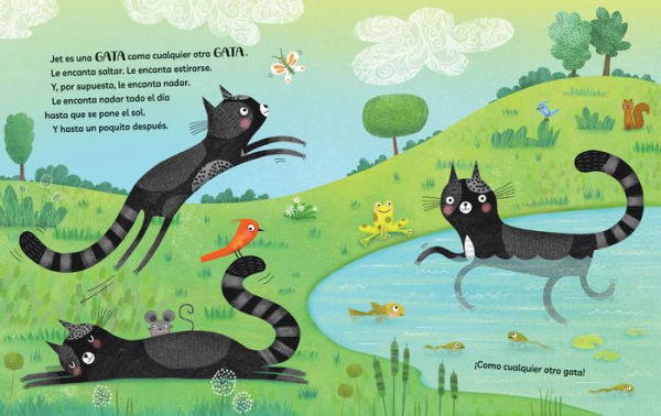 La gata Jet (no es una gata)