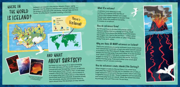 Stranded!: A Mostly True Story from Iceland