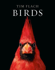 Title: Birds, Author: Tim Flach