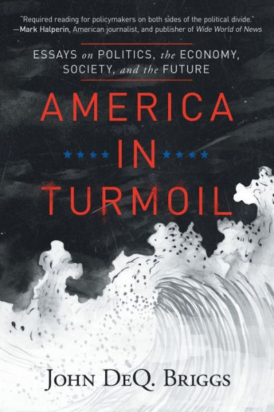 America Turmoil: Essays on Politics, the Economy, Society, and Future