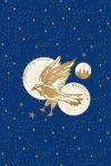 Alternative view 5 of Harry Potter: Ravenclaw Constellation Postcard Tin Set (Set of 20)