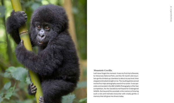 New on Earth: Baby Animals in the Wild
