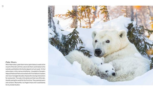 New on Earth: Baby Animals in the Wild