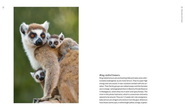 New on Earth: Baby Animals in the Wild